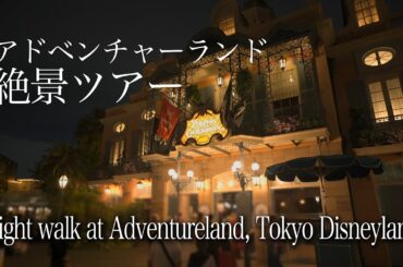 アドベンチャーランドの絶景ツアー : 東京ディズニーランド / Night walk at Adventureland, Tokyo Disneyland