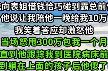 我向表姐借錢恰巧碰到霸總前任，他說讓我陪他一晚給我10萬，我笑著答應卻激怒他，當場怒甩300萬包我一個月，直到他跟蹤我到醫院病床前，看到躺在上面的孩子後他傻了眼#枫林晚霞#生活經驗#情感故事#花开富贵