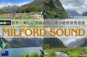 【New Zealand VLOG】Milford Sound ～ バスツアーで行く世界8番目の不思議 ～