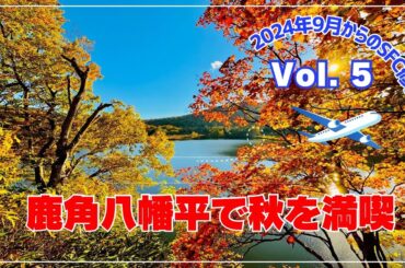 秋の秋田🍁鹿角八幡平紅葉ツアー🍁　2024年9月からのSFC修行