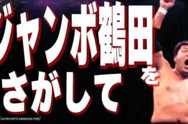 【91bit】ジャンボ鶴田を探して "Looking for Jumbo Tsuruta"