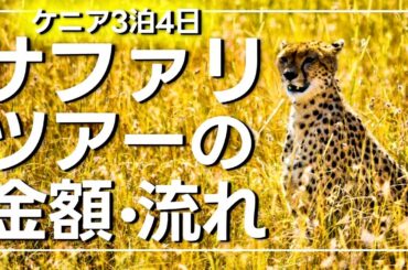 【アフリカ旅行】サファリツアー！料金や流れ、ナイロビの治安やマサイ族の村のレポートも【ケニア】【海外旅行】