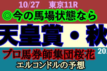 エルコンドル氏の天皇賞秋2024予想！！ドウデュースとリバティアイランドの激突！今の東京の馬場状態はどちらに味方するか！