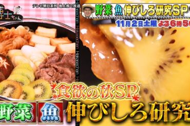 11月2日（土）サンドウィッチマン＆芦田愛菜の博士ちゃん 野菜と魚の伸びしろ研究博士ちゃんが食欲の秋にオススメしたい「新定番料理」を爆笑授業！