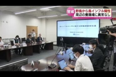 【警戒】野生のオオタカから鳥インフルエンザ陽性反応　周辺の養鶏場で異常なし 《新潟》