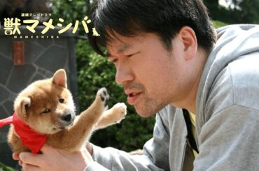 【📺無料公開中】“犬ドラマ”の決定版🐕 シリーズ 第1弾！『幼獣マメシバ』第1話